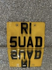 Yamaha raptor R1 number Plate  