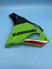 Kawasaki ZX-4RR Left Lower