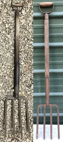 Pitch fork tine - fork,