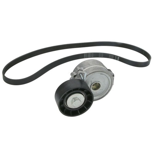 Ina 529 0315 ribbed belt - 529, 10