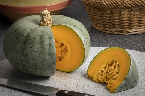 Winter squash crown prince - squash,