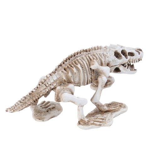 Dinosaur skeleton pet shelter - pet,