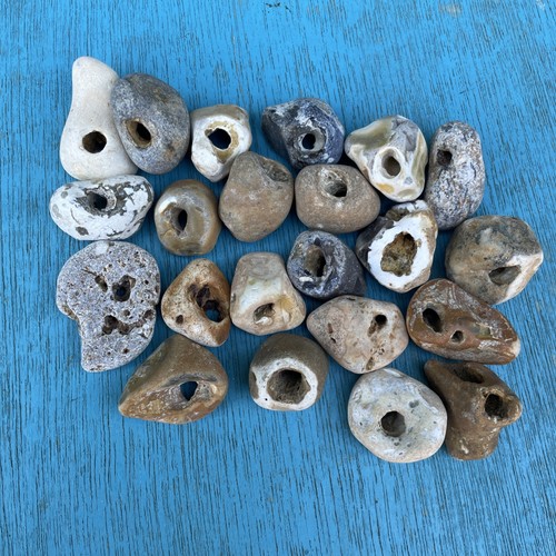 Twenty natural hag stones - twenty,