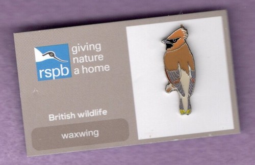Rspb pin badge waxwing - rspb,
