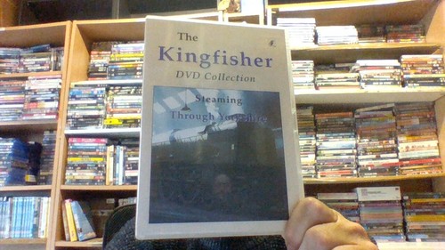 Kingfisher collection steaming - kingfisher,