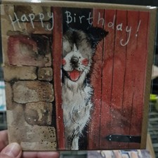 Alex Clark Card  Birthday card  Stable Door