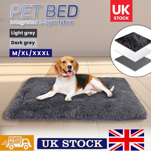 Xxxl dog pet cat - m-xxxl,