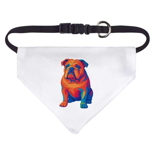 British bulldog dog - /, cat
