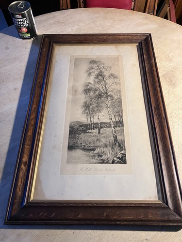 Wild ducks retreat antique - wild,