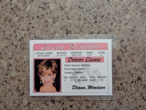 Princess diana spencer windsor - princess,