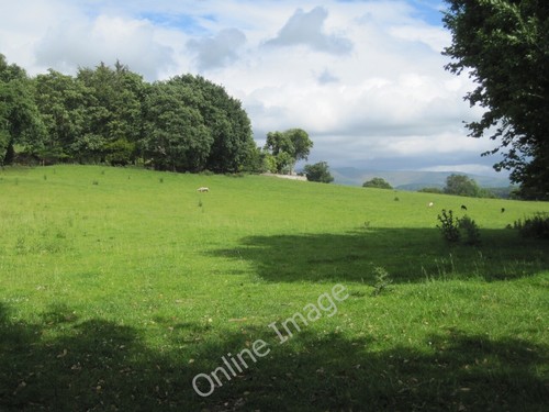 Photo 6x4 pasture land - photo,