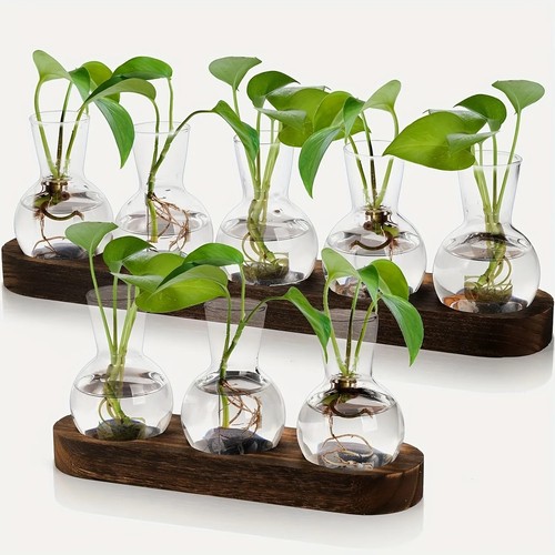 Plant propagation station - plant,