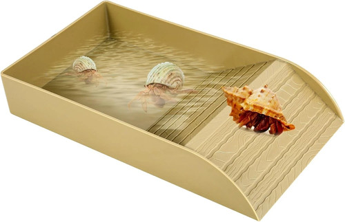Tortoise water dish - water, dish,