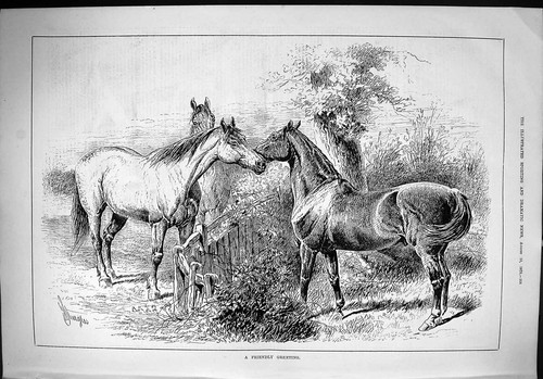 Original old antique print - old,