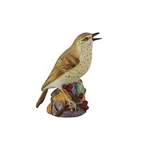 Royal Worcester, Bird, Thrush