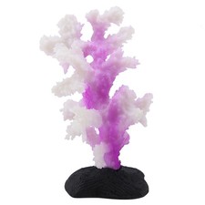 _Luminous Coral Anemone