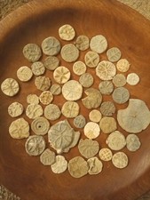 Medieval century lead - -,