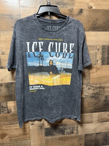 Ice cube was - ice, it