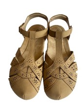 Earth Origins Savoy Brown