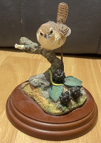 Border fine arts - arts, wren
