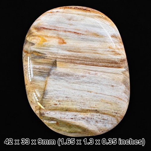 Fossil wood worry - fossil, palm