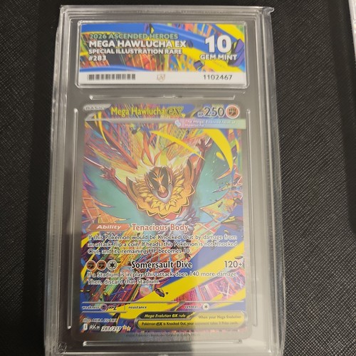 Mega hawlucha sir 283 - hawlucha,