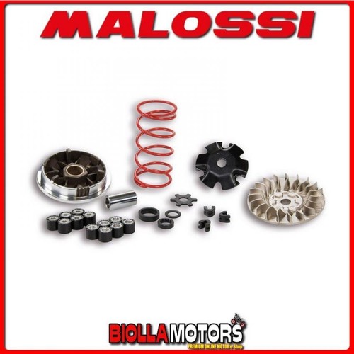 5113161 variator malossi - 5113161,