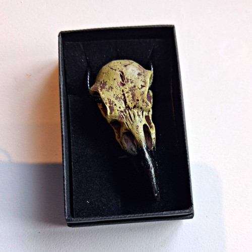 Small animal crow skull - crow,
