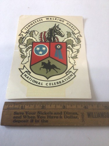 Tennessee walking horse - tennessee,