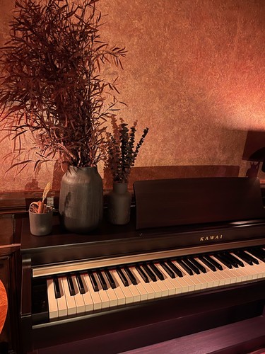 Kawai cn27 digital - cn27,