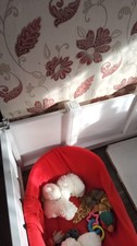 Tekplas Dog Whelping and Play