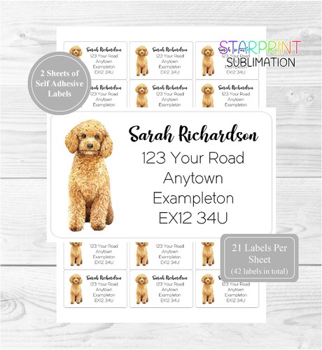Poodle dog - (apricot),
