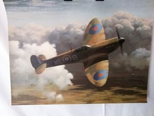10 New Large Reproduction