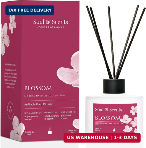 Reed diffuser set - reed,