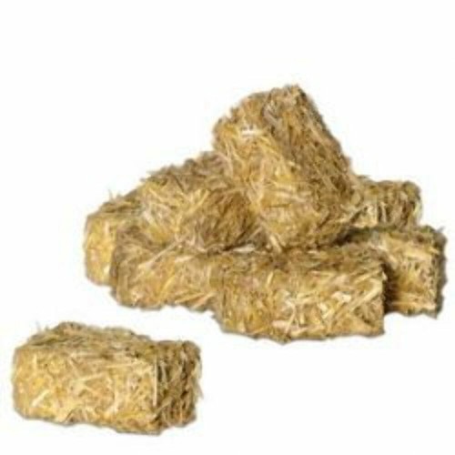 Department hay bales 810824 - department,