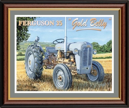 Ferguson gold belly the wee - ferguson,