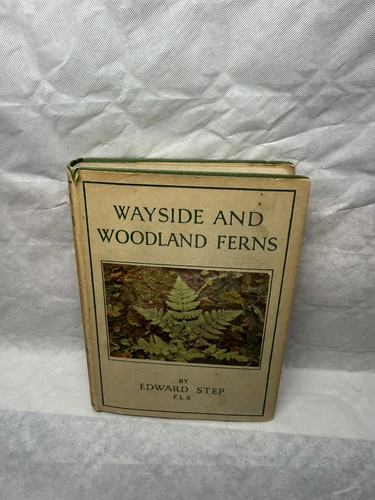 Wayside woodland ferns edward - wayside,
