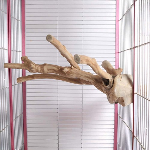 Java multi perch for parrots - perch,
