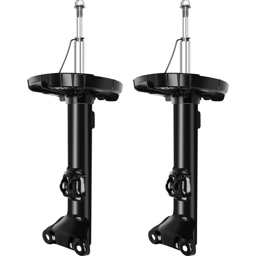 Pair front struts - struts, for