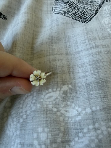 Pandora white primrose - white,