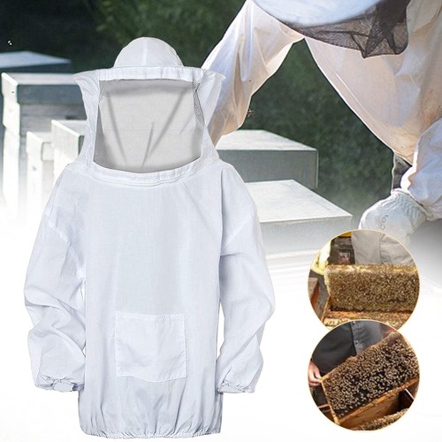 Professional beekeeping - professional,
