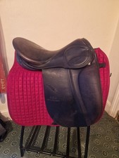 18” Medium Stubben Scandica