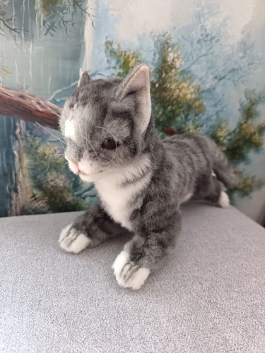 Kitten grey standing - grey, 20cml