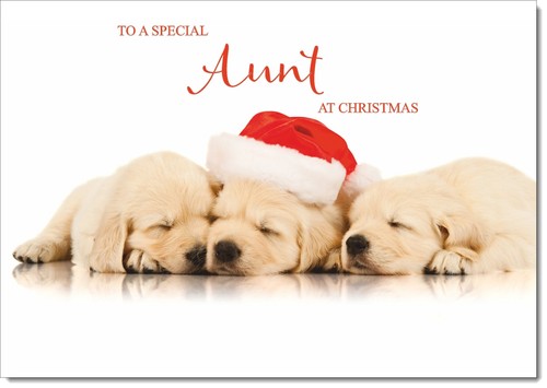 Doodlecards aunt christmas - doodlecards,