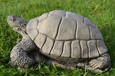 Timmy the Tortoise Stone