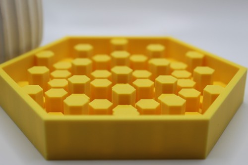 Honey comb bee water - bee,