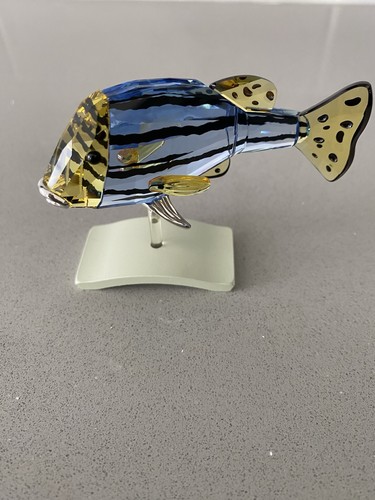 Swarovski paradise fish - swarovski,