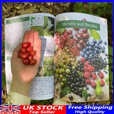 Herbal The Lost Book of