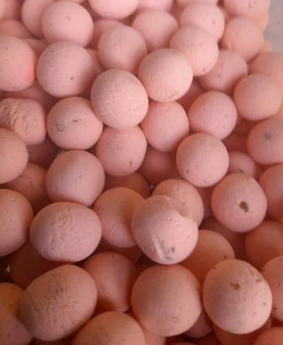 Carp bait boilie tiger - tiger, nut