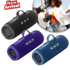 Flip 7 Wireless Portable